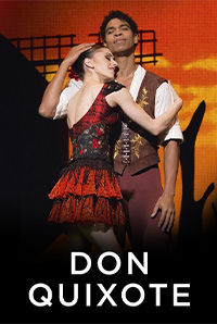 Don Quixote