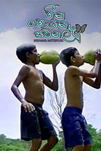 Heena Hoyana Samanallu 
