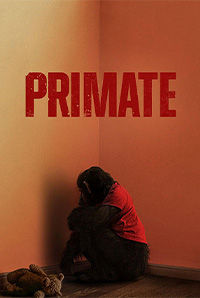 Primate
